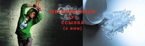 крисы Богородицк