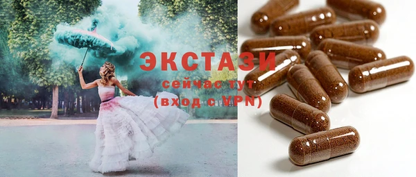 крисы Богородицк